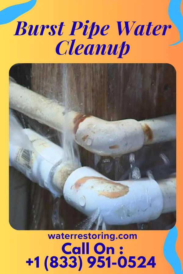 Burst Pipe Water Cleanup in Westfield, PA