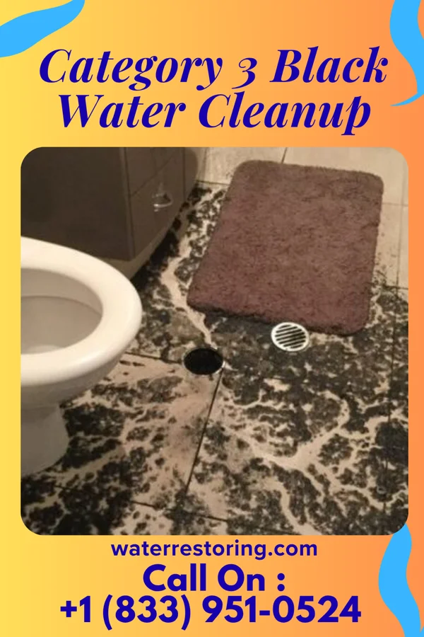 Category 3 Black Water Cleanup in Westfield, PA