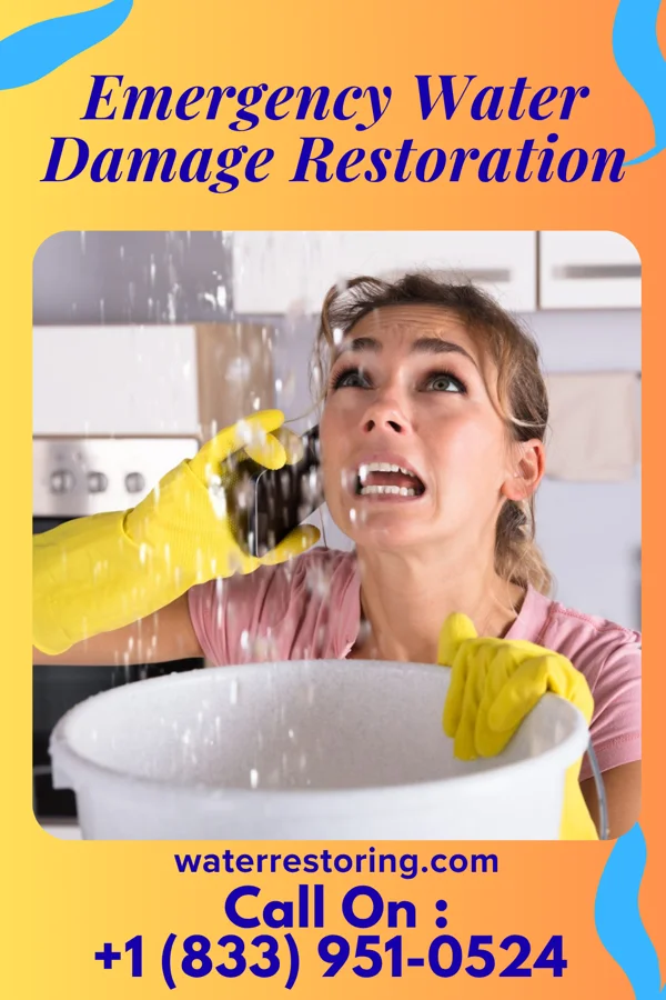 Emergency Water Damage Restoration in Westfield, PA